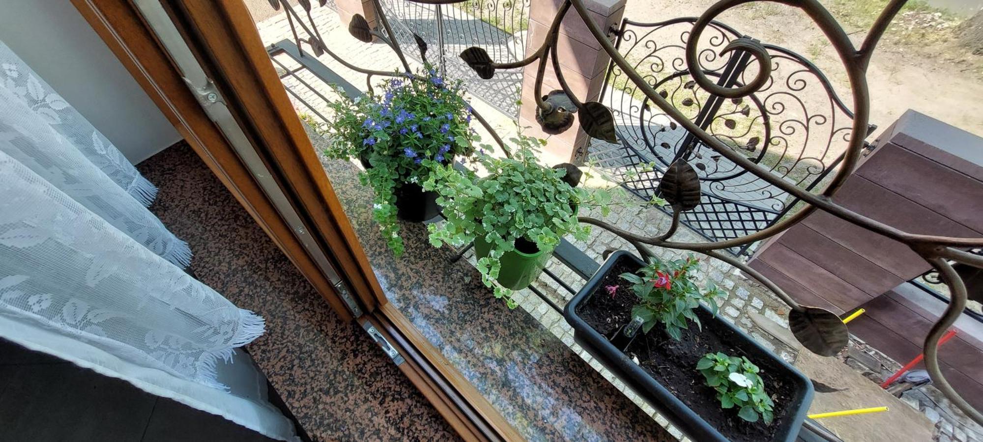 Apartmán La Brigitte Hennigsdorf Pokoj fotografie