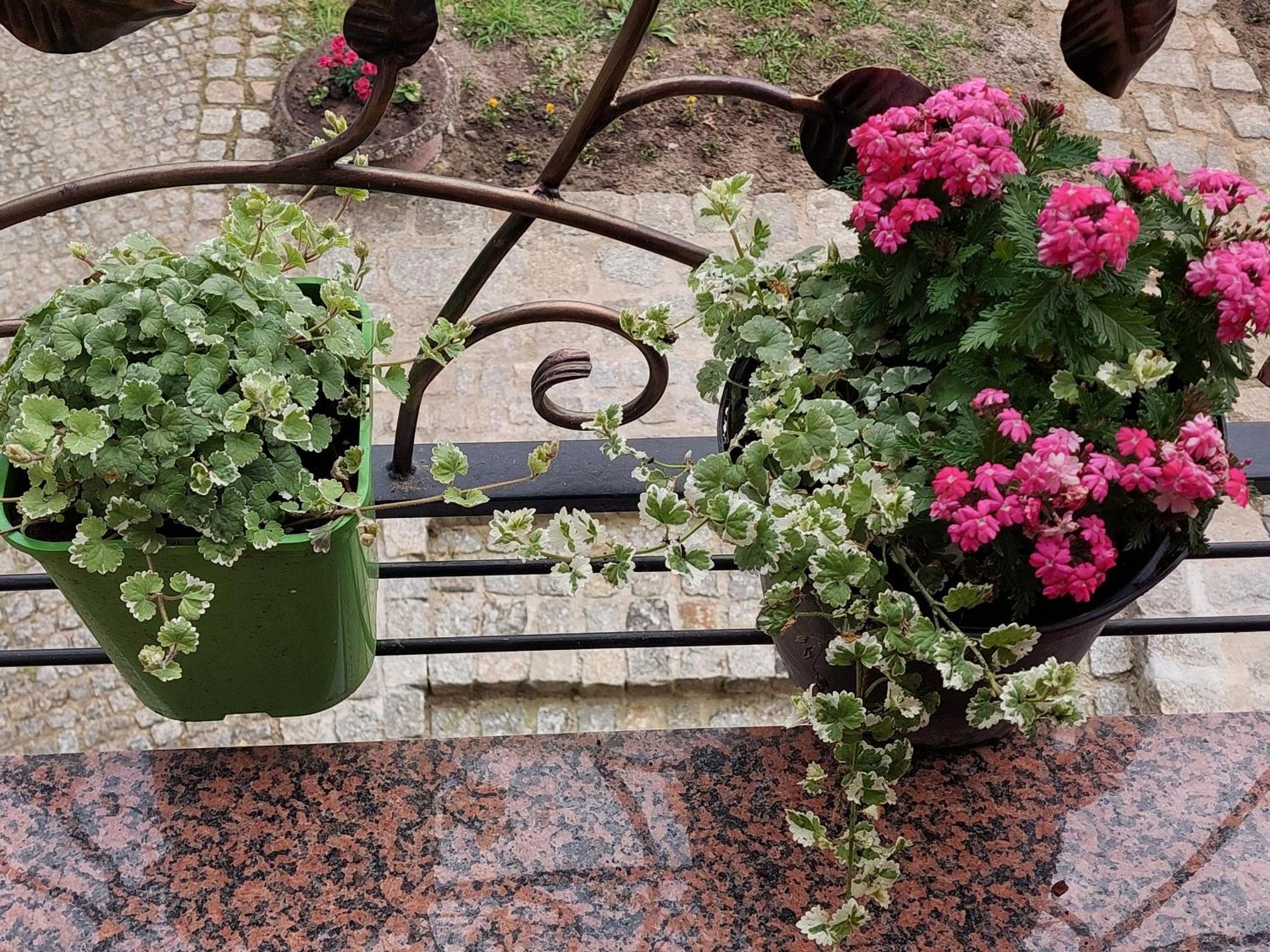 Apartmán La Brigitte Hennigsdorf Pokoj fotografie